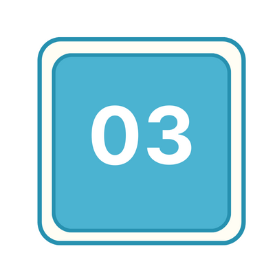 icon 3